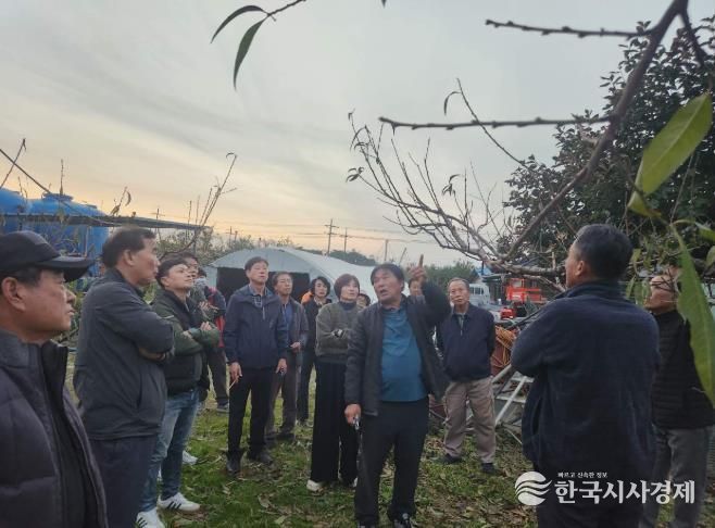 정읍시, “명품 복숭아 비결은 겨울 전정”… 농가 대상 전문 교육