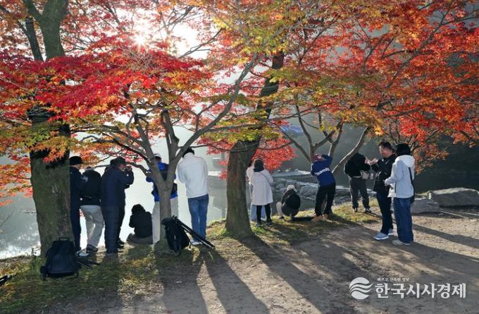 가을 명소 정읍 내장산, 고운 단풍 빛깔 뽐내…“다음 주 절정 예상”