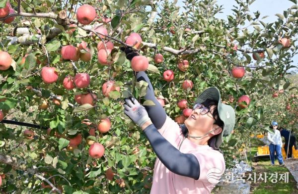 청송군, 가을철 농촌일손돕기 추진