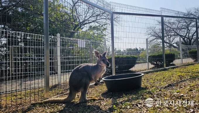 진주시 진양호동물원