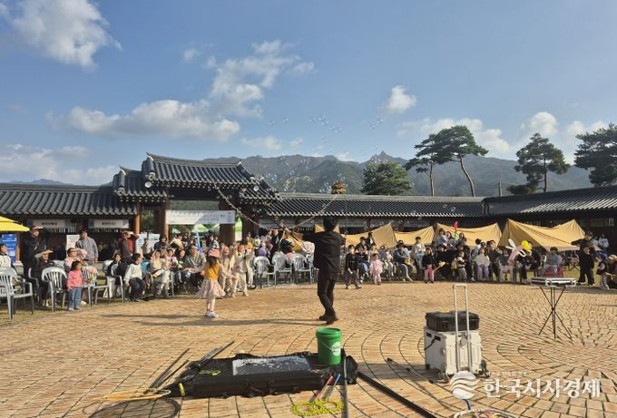 영암군 목재누리 페스티벌_버블쇼