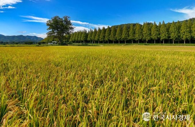 순창군, 농산물 우수관리(GAP) 인증 확대…안전 농산물 공급 기반 강화