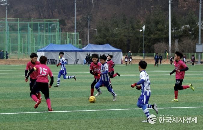 산청군수배 전국 유소년 축구대회 14일 킥오프
