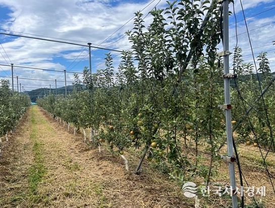 순천시, 농업인과 함께 과수 신기술 벤치마킹 추진