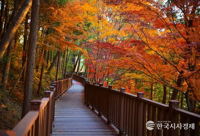진주시, ‘무장애’ 진양호 노을길 준공
