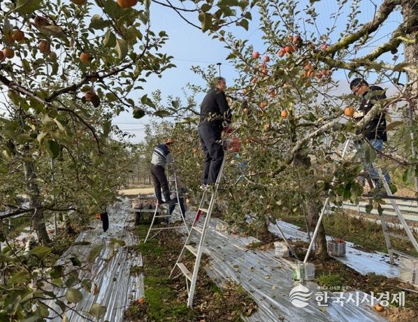 주택관리공단 대구경북지사, 농촌 일손돕기