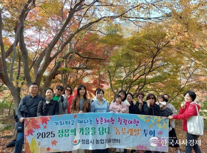 내장산 단풍 보고 막걸리 체험… 정읍 ‘농뚜레일 투어’ 성황