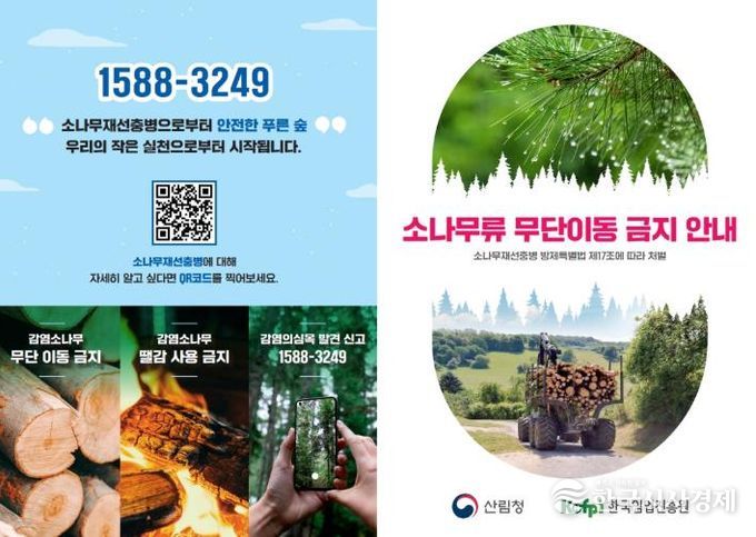 소나무류 무단이동 금지 안내 홍보물