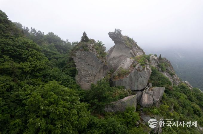 보성군, 오봉산 용추동과 칼바위 일원 명승 지정_오봉산 칼바위