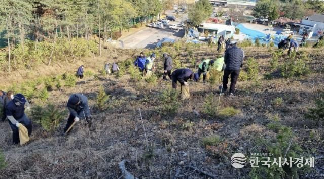 18일 안산시 백운공원에서 열린 비료시비 행사에서 참여자들이 고형복합비료 시비 활동을 진행하고 있다.