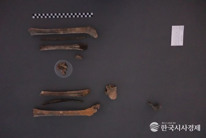 2024년 11월 대구광역시 군위군에서 발굴된 고(故) 구자길 일병의 유해