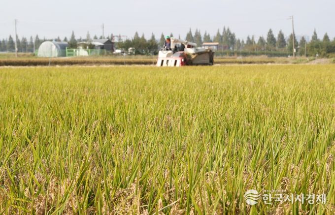 청주시, 청원생명쌀 계약재배 신청 접수… 12월 5일까지