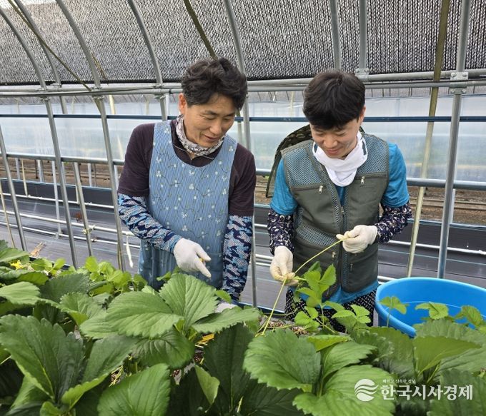 신규농업인 현장실습 선도농가 박성철 대표 농장에서 재배 실습중인 모습
