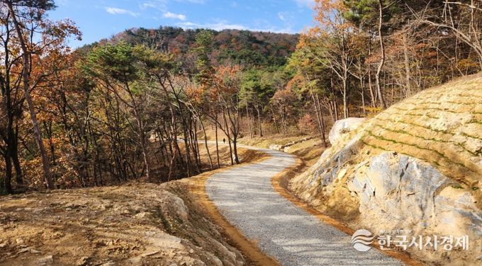 산청군 신안면 갈전리 간선임도