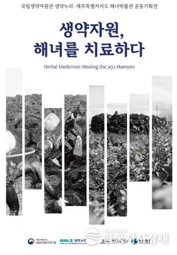 <생약자원, 해녀를 치료하다> 전시 개막식