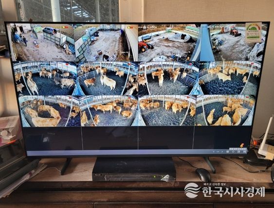 ‘2026년 축산분야 ICT 융복합 확산사업’ 선정 8억8천만원 확보