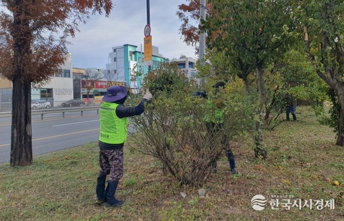 무궁화 전정작업 현장