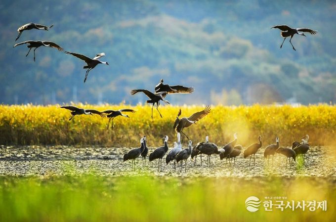 ‘한국 건강 지수’ 호남권 1위 선정