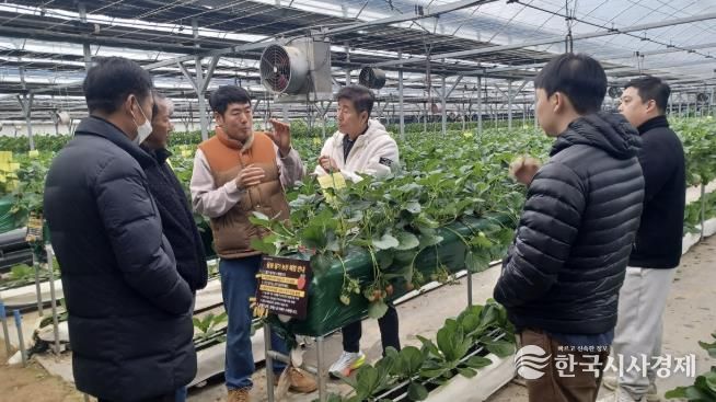광주시, 딸기연구회 농가 대상 맞춤형 현장 자문 실시