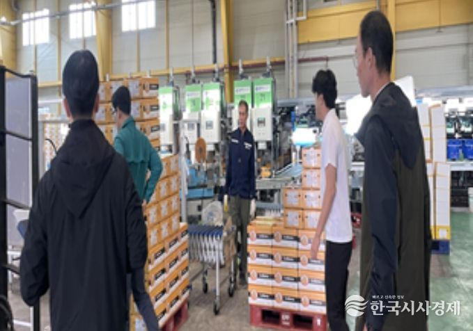 상품 외 감귤 유통 ‘전면 차단’ 집중 단속