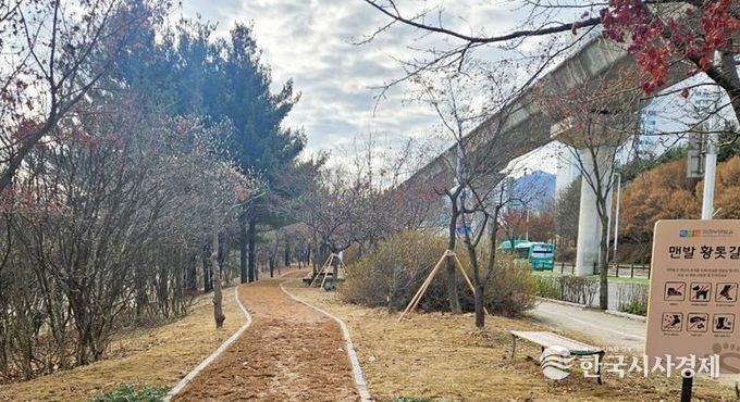 의정부시, 용현동 ‘맨발황톳길’ 조성 완료