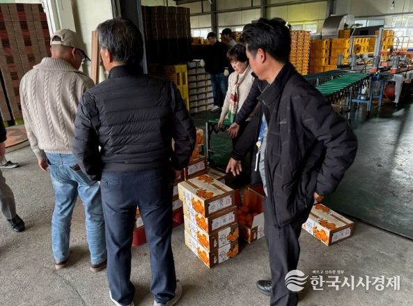 야간·주말 기습 단속