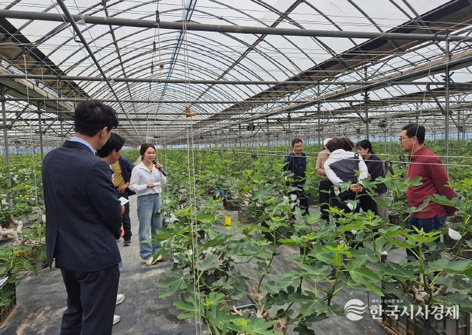 영암군 지명심 무화과연구팀장 농업기술 지도