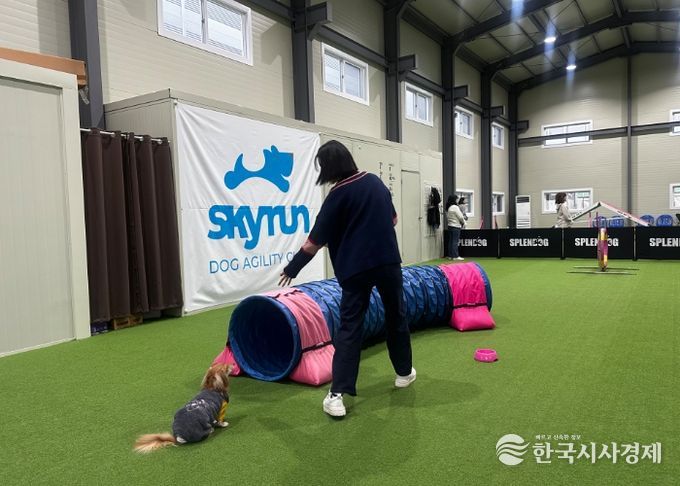 댕댕 체육교실 모습