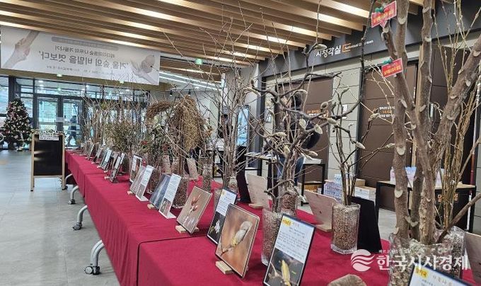 평택시 배다리도서관, 생태 전시회 '겨울 숲의 비밀을 엿보다' 운영