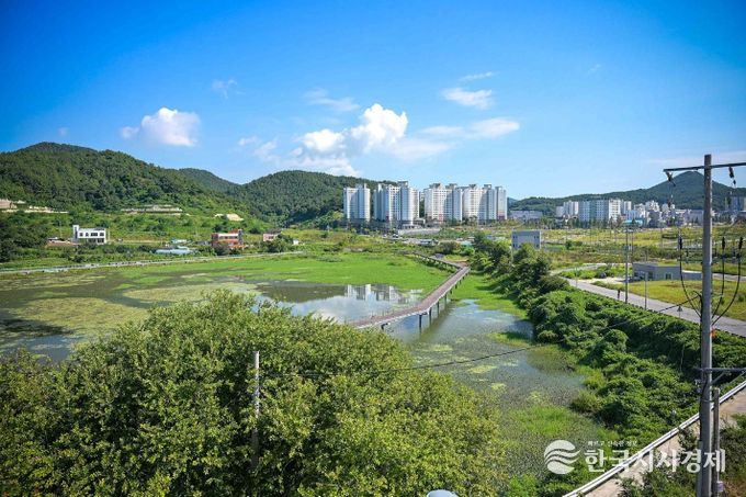 관기 저수지 생태공원 전경