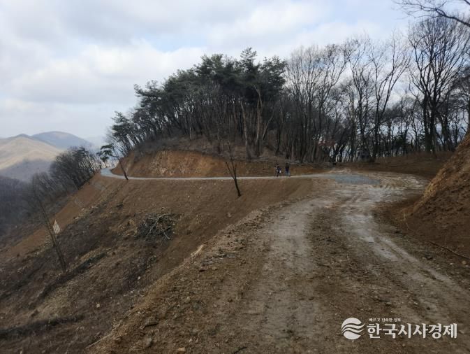 용인특례시가 처인구 원삼면 학일리 일원에 조성한 간선임도