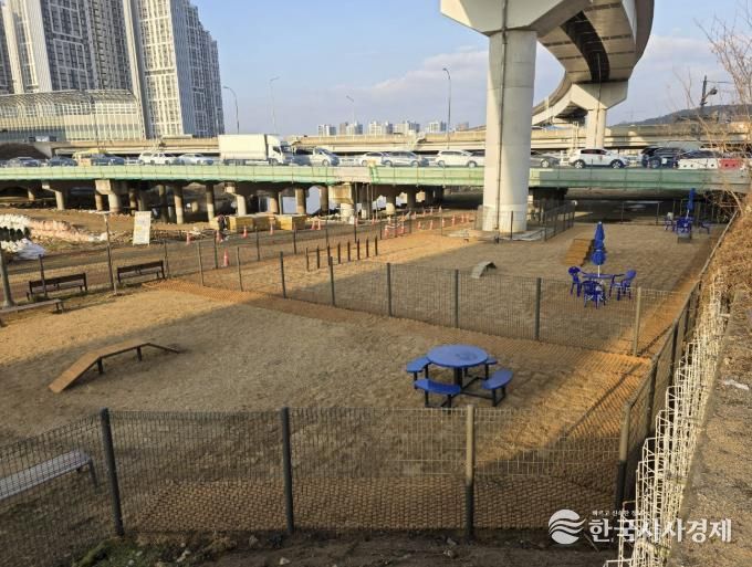 용인특례시가 처인구 경안천 산책로에 반려견 놀이터를 조성했다.