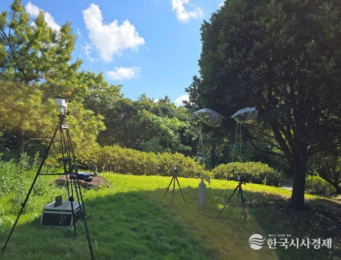 난대숲 피톤치드 발산추이 연구