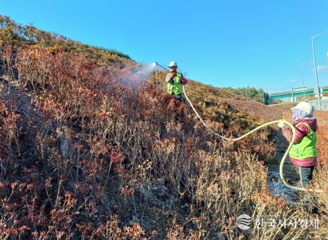 기존 공원에 식재되어 있던 철쭉을 이식해 조성한 동순천IC 진입부 철쭉 단지