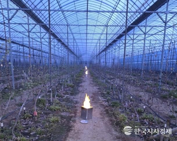 파주시, 원예특작분야 기술보급사업 대상자 모집