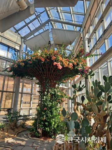 친환경생태공원, 형형색색 선인장 꽃 개화