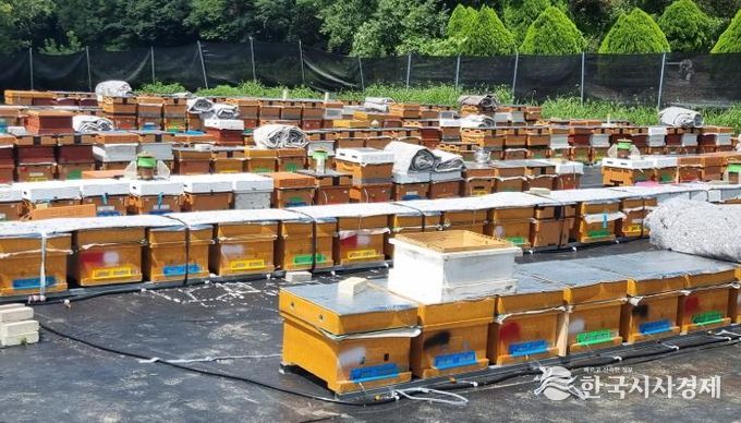 정읍시, 양봉산업 경쟁력 강화에 6억 2000만원 투입