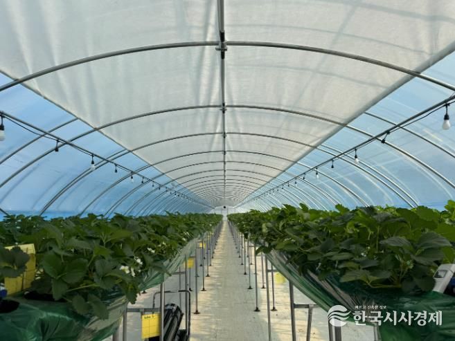 군산시, 2026년 스마트원예 분야 자체 사업 신청·접수