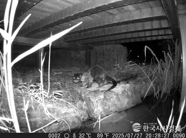 세종시설공단, ‘2025년 세종호수공원 정밀 생태분포조사’ 결과 발표