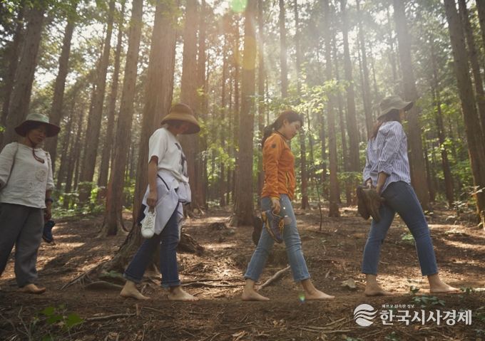 산림치유프로그램 오감걷기