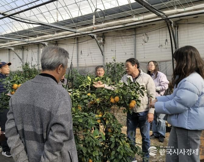 광주시, 감귤 재배 농가 대상 겨울전정 현장 자문 실시