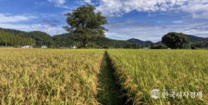 순창군 태이친환경영농조합법인, 제주도 학교급식 친환경 쌀 공급업체 선정