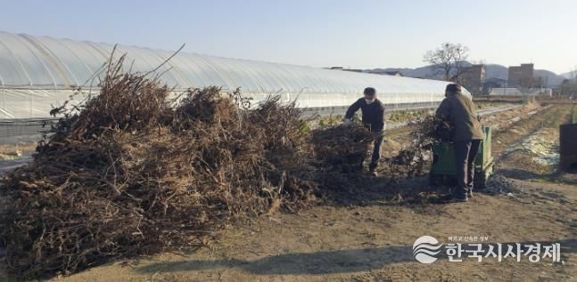 영농부산물 처리 현장 사진