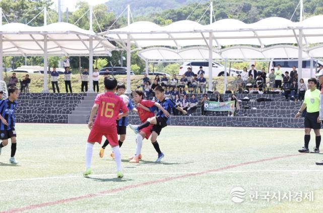 지난해 유소년 축구대회 사진