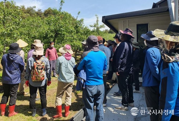 예비 귀농귀촌인들이 과수농가를 방문해 현장 교육을 받고 있다.