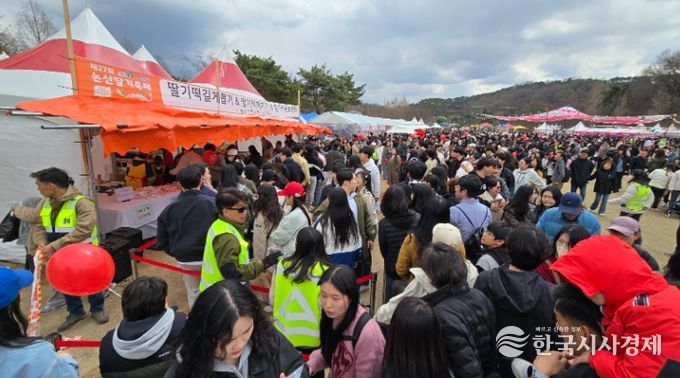 지난해 딸기축제