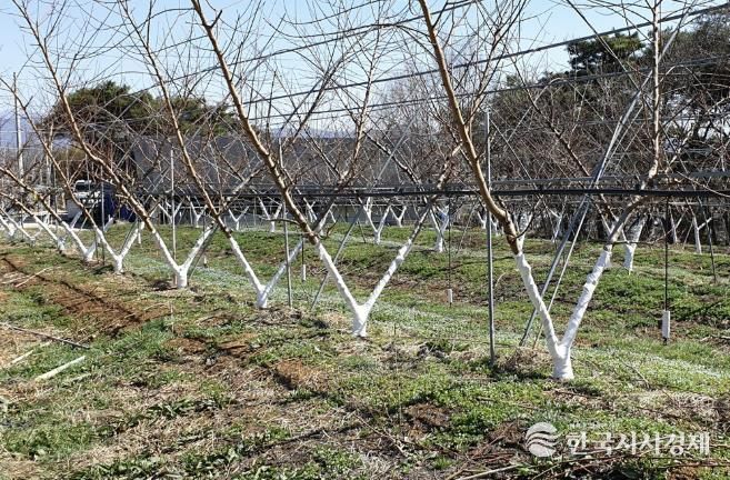 수성 페인트 도포 사진