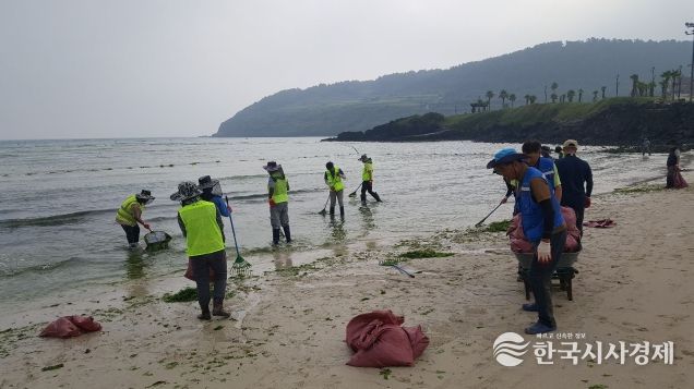 제주시,‘바다환경지킴이’178명 채용