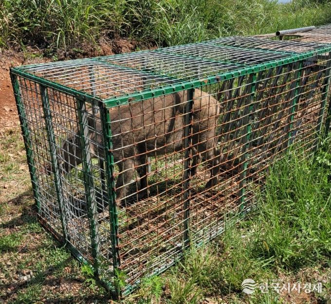 2026년 유해야생동물 피해방지단 모집