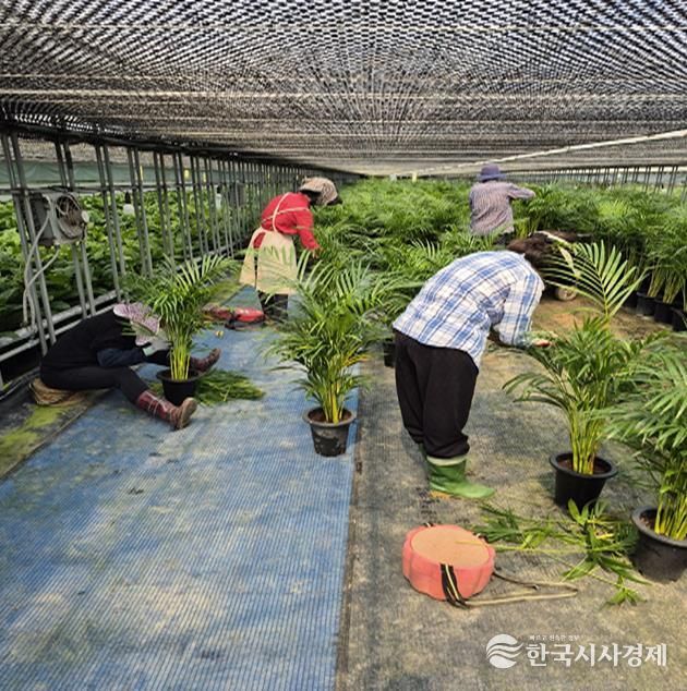 음성군, 농부의 시계보다 앞선 행정....농촌인력 지원 박차